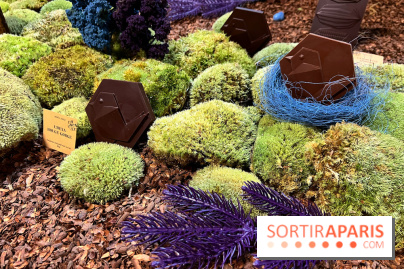 Alain Ducasse - Chocolats de Noël 2023 - 16C69F91 3DF8 4C50 91C9 D060A4D0ECC6