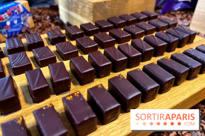 Alain Ducasse - Chocolats de Noël 2023 - 00817EE2 785D 442B A23E 8514DA957F4A