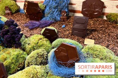 Alain Ducasse - Chocolats de Noël 2023 - 973A5822 D4BE 4CC9 84F6 572CA753A144