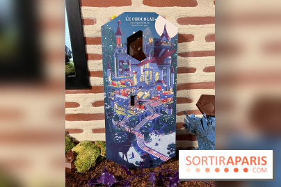 Alain Ducasse - Chocolats de Noël 2023 - 1371BE0B 9630 45BD 9E4F CE6EC16E7A6F