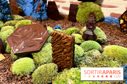 Alain Ducasse - Chocolats de Noël 2023 - 44583032 3128 43E4 9D47 518EE78B54B2