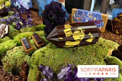 Alain Ducasse - Chocolats de Noël 2023 - ADE7453F 8589 4CBF B619 4ACEEF6C6339