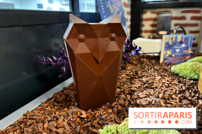 Alain Ducasse - Chocolats de Noël 2023 - B673CA26 D8C2 45DE 844B 277D232E7E7B