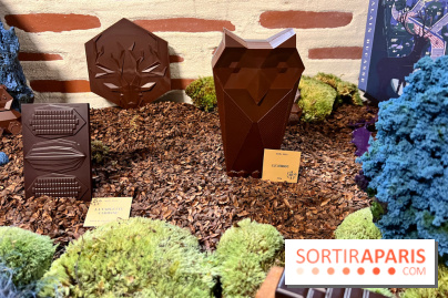 Alain Ducasse - Chocolats de Noël 2023 - E6E01285 D2C7 4778 A7FE B172F039506F