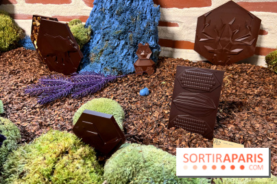 Alain Ducasse - Chocolats de Noël 2023 - F294480A 28D4 4055 AE42 265FE00C39D4