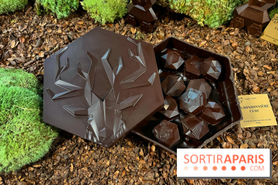 Alain Ducasse - Chocolats de Noël 2023 - FF7AC281 5BCF 4FB7 B9D6 B91F033AC06D