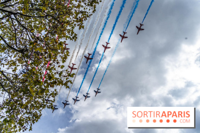 Patrouille de France  -  A7C1618