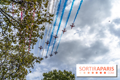 Patrouille de France  -  A7C1619