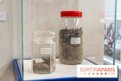 Exposition Gérard Zlotykamien alias Zloty à Paris -  A7C1537