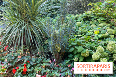 Parc de la butte du chapeau rouge - image00778