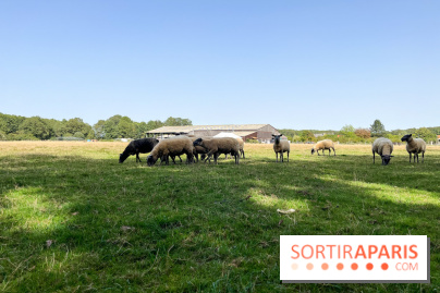 La Ferme des 4 Etoiles à Auffargis - image00046