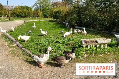 La Ferme des 4 Etoiles à Auffargis - image00032