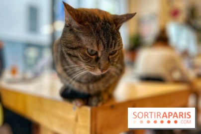 La Régulière - IMG 5295