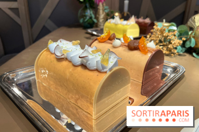 Hugo & Victor - Bûche de Noël 2023 exotique