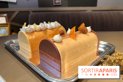 Hugo & Victor - Bûche de Noël 2023 marron-clémentine