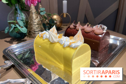 Hugo & Victor - Bûche de Noël 2023 citron-verveine