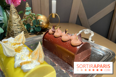 Hugo & Victor - Bûche de Noël 2023 chocolat