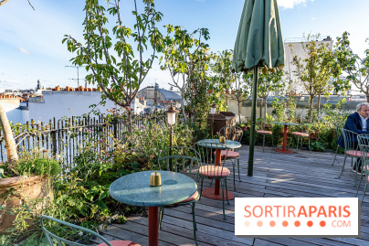 Fantaisie Hotel - bar - rooftop et restaurant à Paris -  A7C1876
