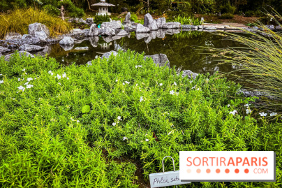 Les jardins japonais de Favières - photos