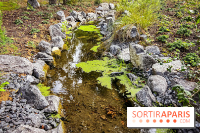 Les jardins japonais de Favières - photos - IMG 1773