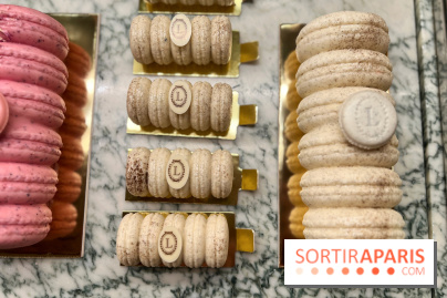 Ladurée - Bûches de Noël 2023 macarons
