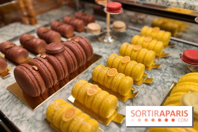 Ladurée - Bûches de Noël 2023 macarons