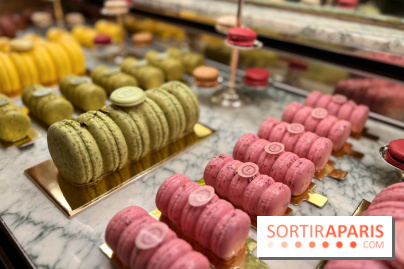 Ladurée - Bûches de Noël 2023 macarons