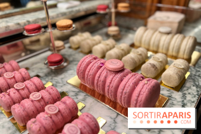 Ladurée - Bûches de Noël 2023 macarons