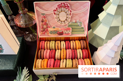 Ladurée - Bûches de Noël 2023 - Macarons