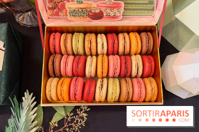 Ladurée - Bûches de Noël 2023 - Macarons