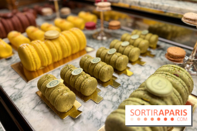 Ladurée - Bûches de Noël 2023 macarons