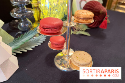 Ladurée - Bûches de Noël 2023 - Macarons