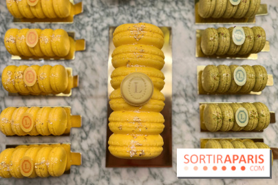 Ladurée - Bûches de Noël 2023 macarons