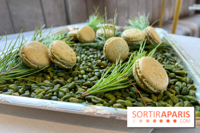 Dalloyau - Macarons de Noël 2023