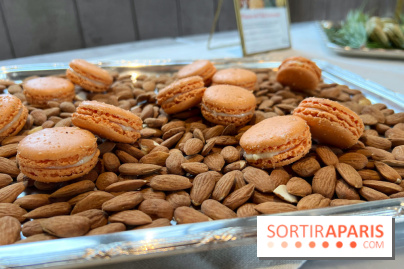 Dalloyau - Macarons de Noël 2023