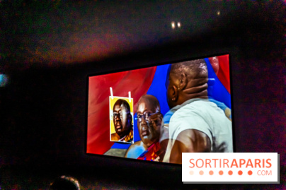 Exposition Kehinde Wiley - Dédale du Pouvoir - Musée du Quai Branly Jacques Chirac - photos  -  A7C2046