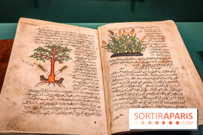 Parfums d'Orient, l'exposition qui enchante nos sens à l'Institut du Monde Arabe - photos