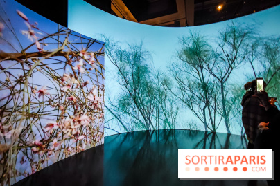 Parfums d'Orient, l'exposition qui enchante nos sens à l'Institut du Monde Arabe - photos