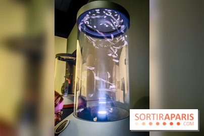 Parfums d'Orient, l'exposition qui enchante nos sens à l'Institut du Monde Arabe - photos