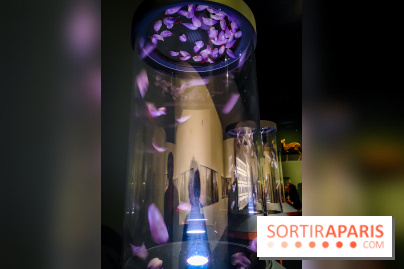 Parfums d'Orient, l'exposition qui enchante nos sens à l'Institut du Monde Arabe - photos