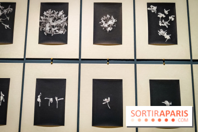 Parfums d'Orient, l'exposition qui enchante nos sens à l'Institut du Monde Arabe - photos