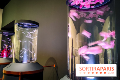 Parfums d'Orient, l'exposition qui enchante nos sens à l'Institut du Monde Arabe - photos