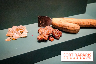 Parfums d'Orient, l'exposition qui enchante nos sens à l'Institut du Monde Arabe - photos