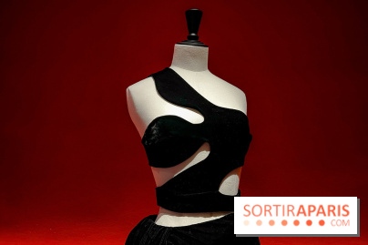 Azzedine Alaïa, couturier collectionneur : l'exposition mode inédite au Palais Galliera - image00161