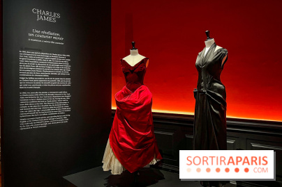 Azzedine Alaïa, couturier collectionneur : l'exposition mode inédite au Palais Galliera - image00176