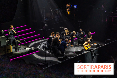 L'Héritage Goldman au Dôme de Paris - Palais des Sports - les photos