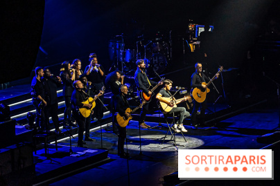 L'Héritage Goldman au Dôme de Paris - Palais des Sports - les photos