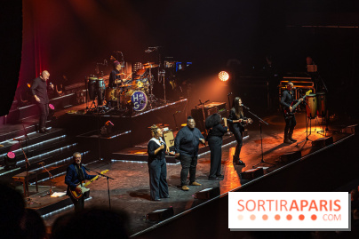 L'Héritage Goldman au Dôme de Paris - Palais des Sports - les photos