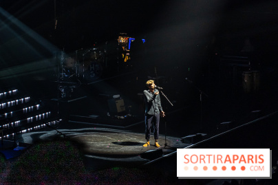 L'Héritage Goldman au Dôme de Paris - Palais des Sports - les photos