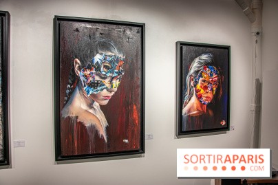 Exposition Les Cages de l'Imaginaire Sandra Chevrier galerie Goldshteyn-Saatort